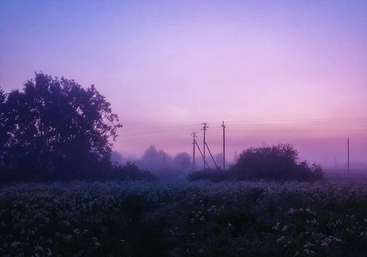 郑钦文宣布退出2026年澳大利亚网球公开赛